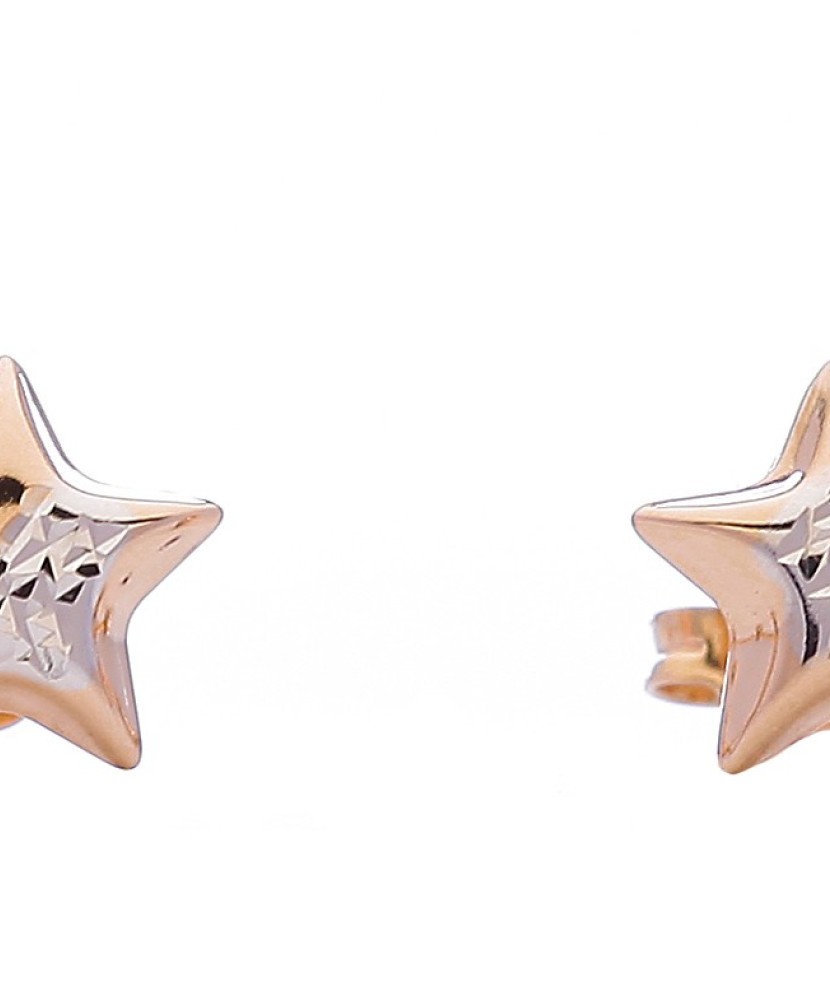 Auksiniai auskarai "žvaigždutės" - Auksiniai auskarai - Goldinga