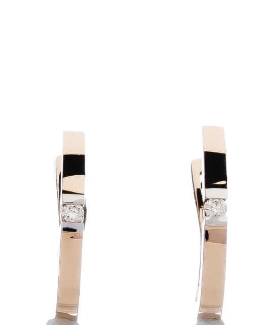 Auksiniai auskarai su briliantais - Auksiniai Auskarai su brangakmeniais - Goldinga