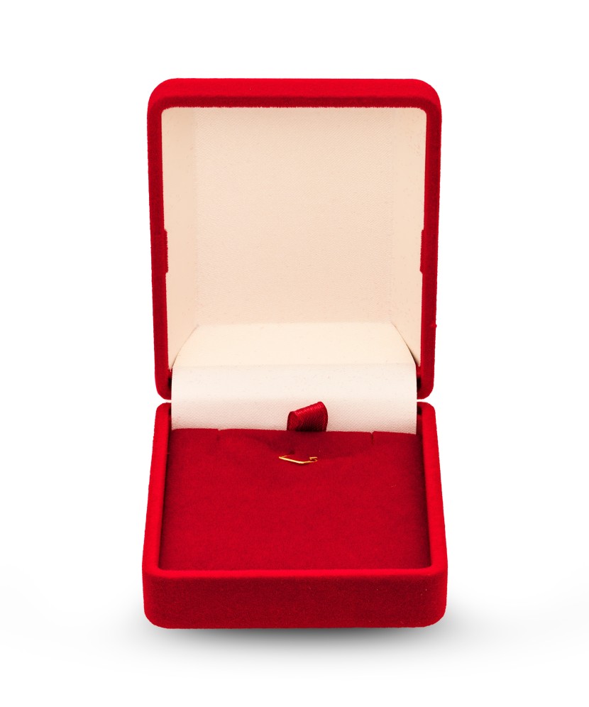 Dėžutė vidutinė Stačiakampė raudona - Dėžutės - Goldinga