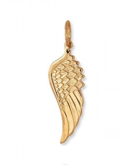 Auksinis pakabukas "Angelo sparnas" - Auksiniai pakabukai - Goldinga