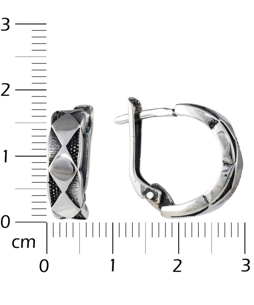 Sidabriniai auskarai