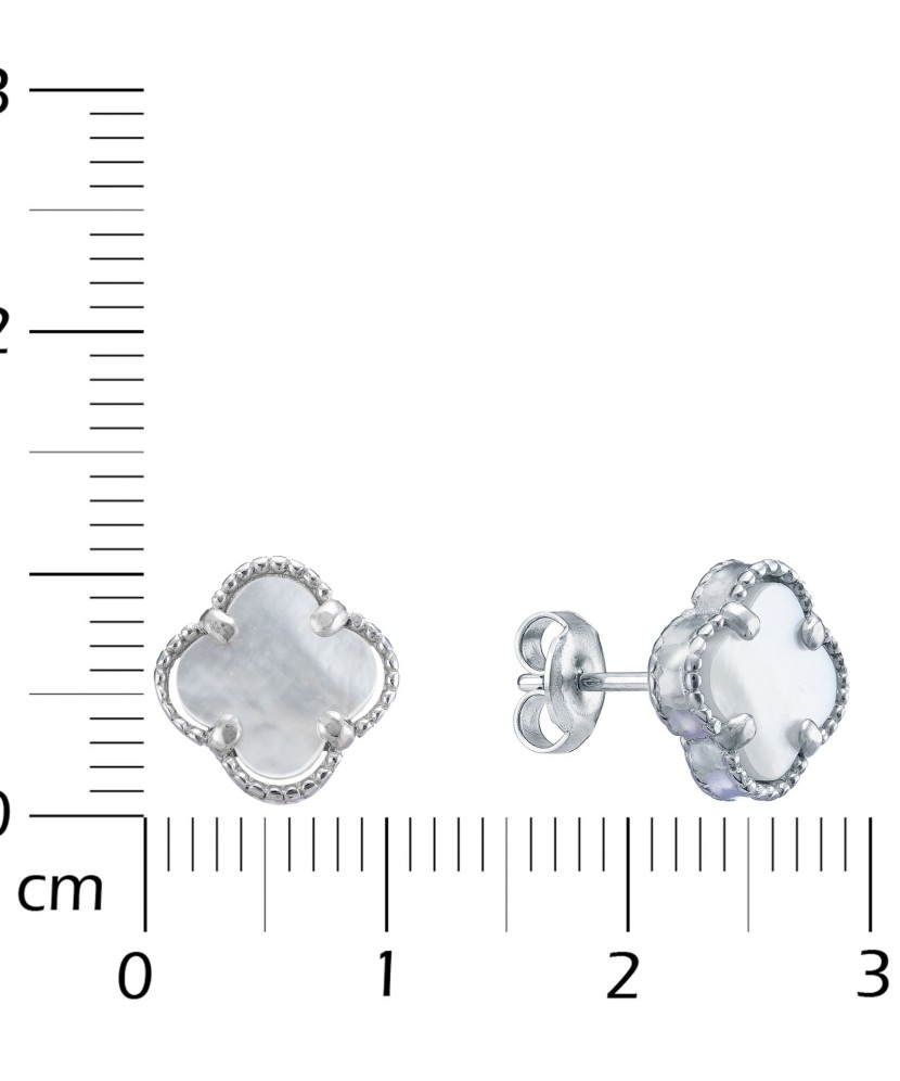 Sidabriniai auskarai su emale