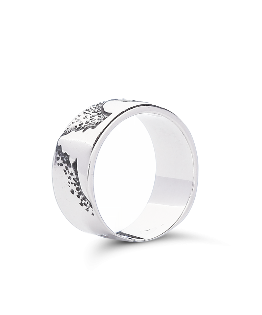 Sidabrinis žiedas - Sidabriniai žiedai - Goldinga