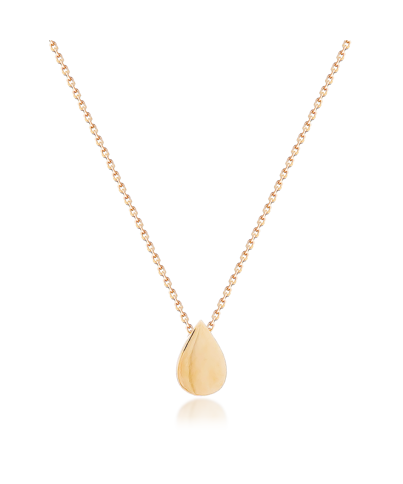 Auksinė grandinėlė su pakabuku - Perkamiausi - Goldinga