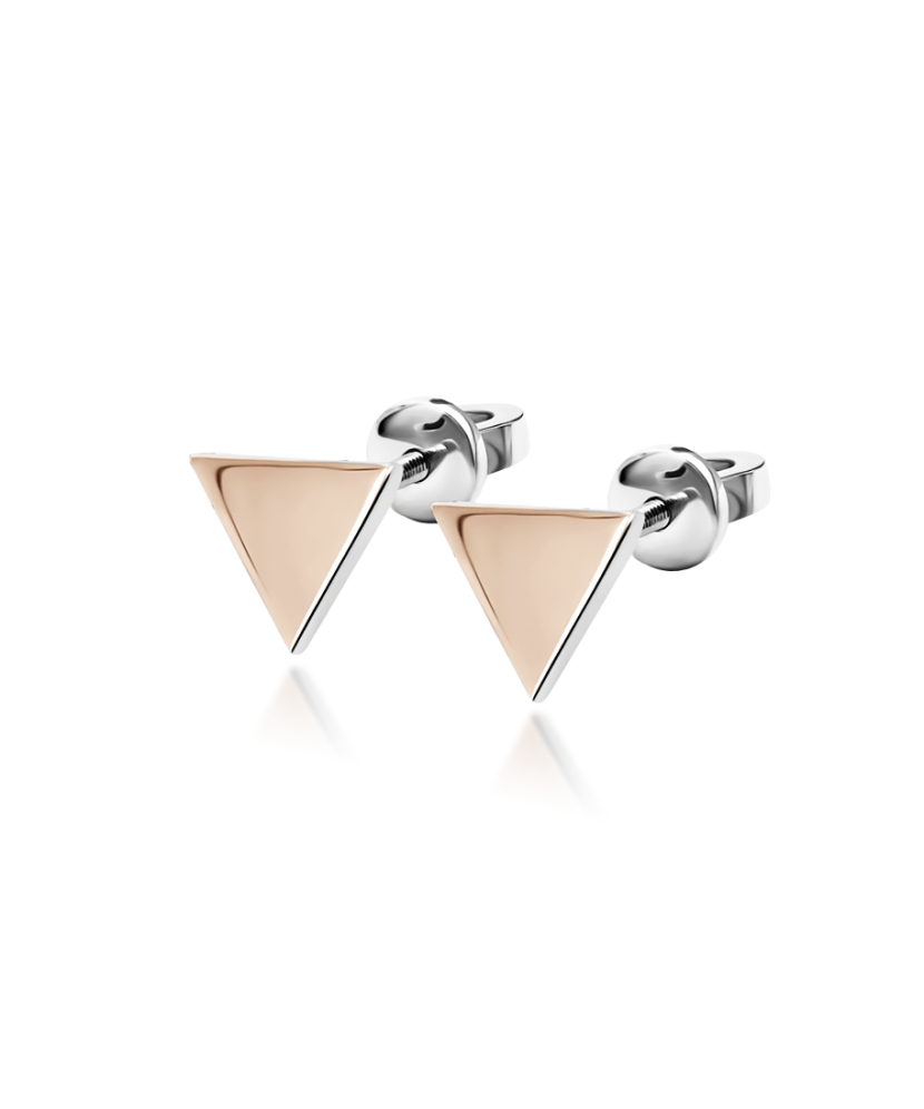 Sidabriniai auskarai dengti auksu - Sidabriniai auskarai - Goldinga