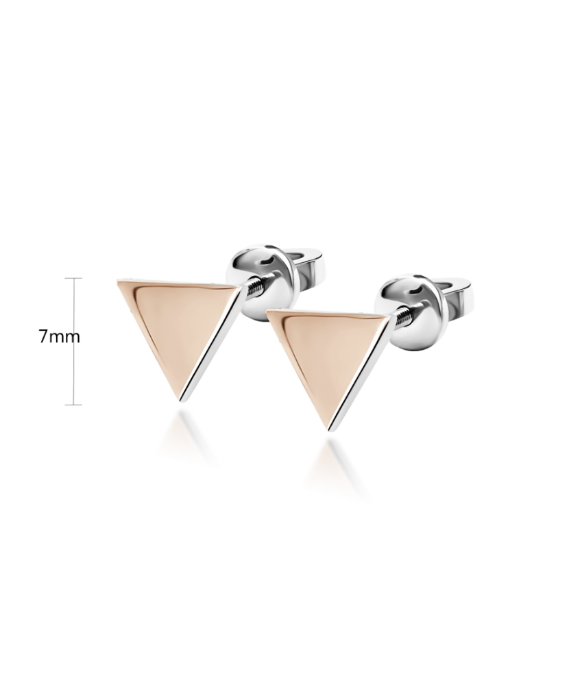 Sidabriniai auskarai dengti auksu - Sidabriniai auskarai - Goldinga