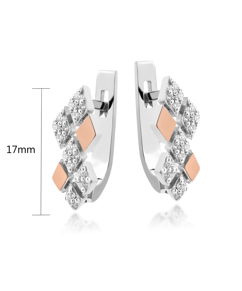 Sidabriniai auskarai su cirkoniais dengti auksu - Sidabriniai auskarai - Goldinga