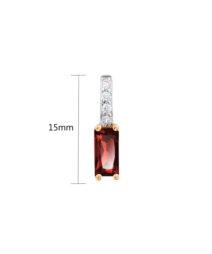 Auksinis pakabukas su granatu ir cirkoniais