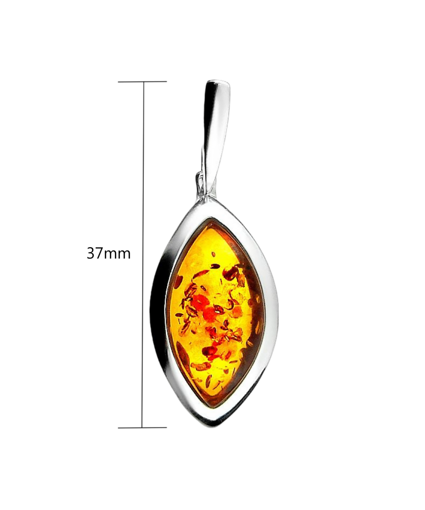 Sidabrinis pakabukas su gintaru  - Goldinga