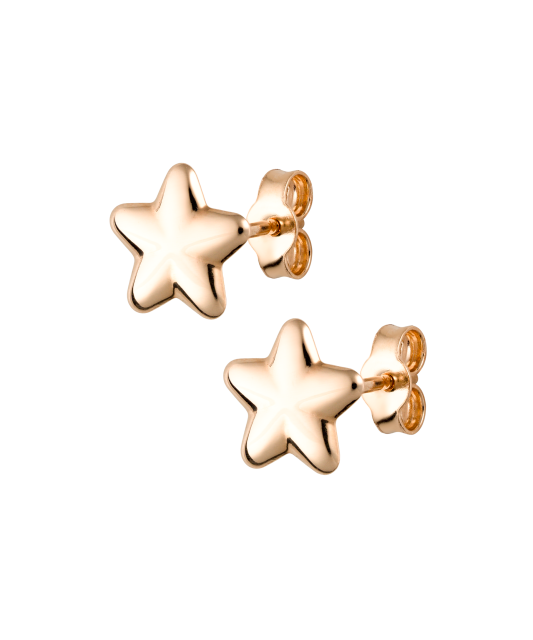 Auksiniai auskarai "Žvaigždė" - Auksiniai auskarai - Goldinga