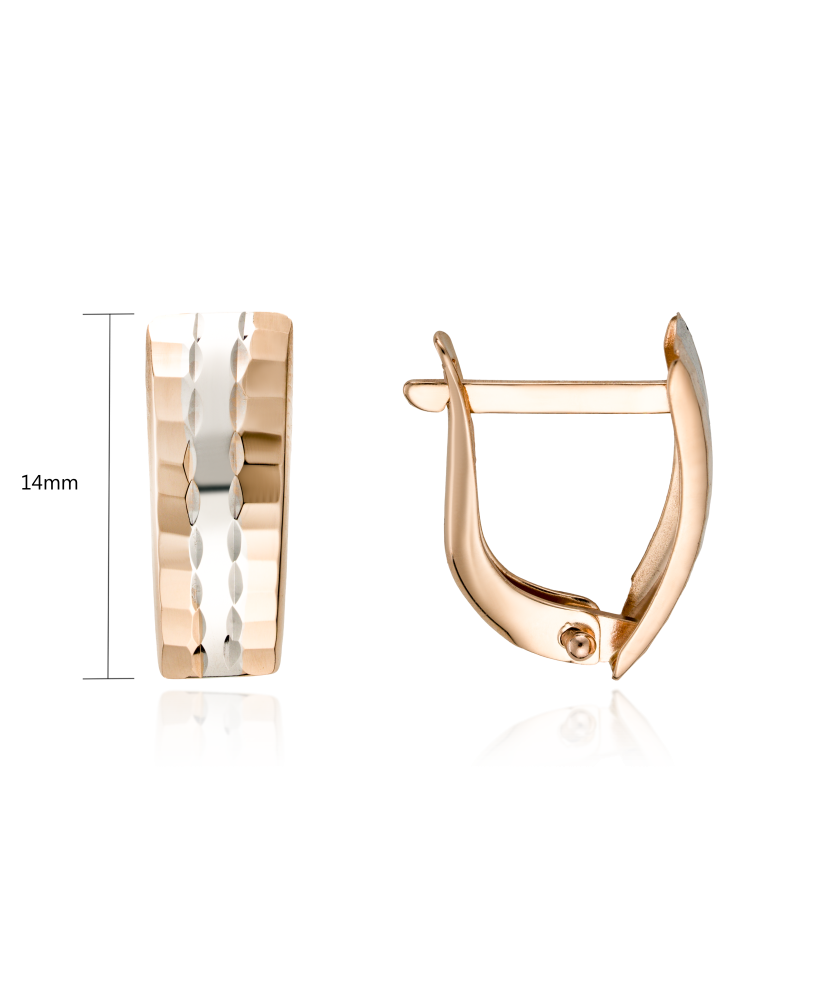 Auksiniai auskarai - Auksiniai auskarai - Goldinga