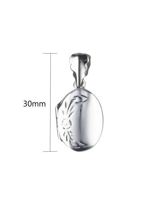 Sidabrinis pakabukas "Medalionas"  - Goldinga