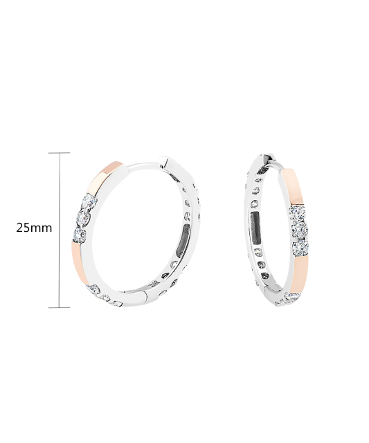 Sidabriniai auskarai dengti auksu su cirkoniais - Sidabriniai auskarai - Goldinga