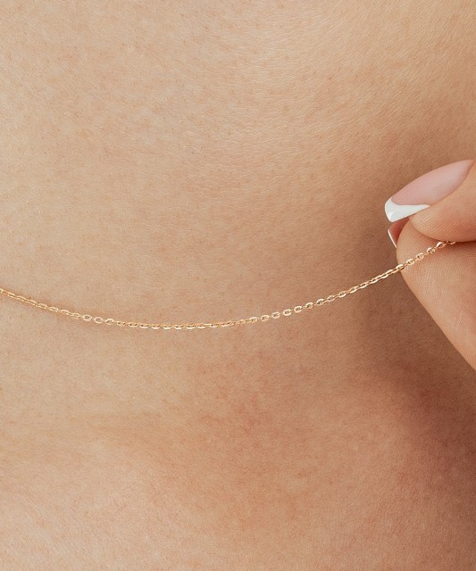 Auksinė grandinėlė "Anchor"