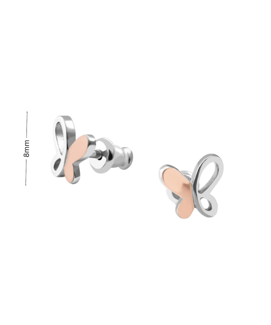 Sidabriniai auskarai dengti auksu