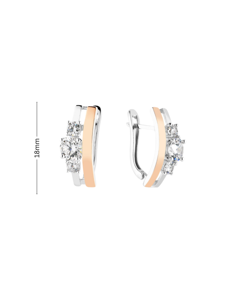 Sidabriniai auskarai dengti auksu su cirkoniais