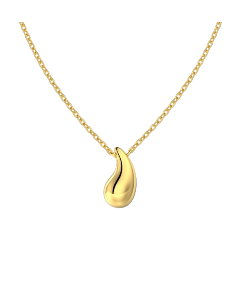 Paauksuota sidabrinė grandinėlė su  pakabuku