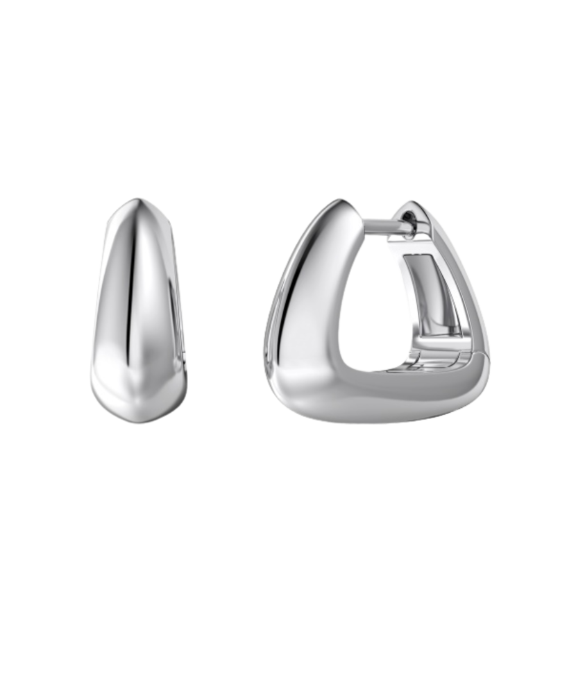 Sidabriniai auskarai