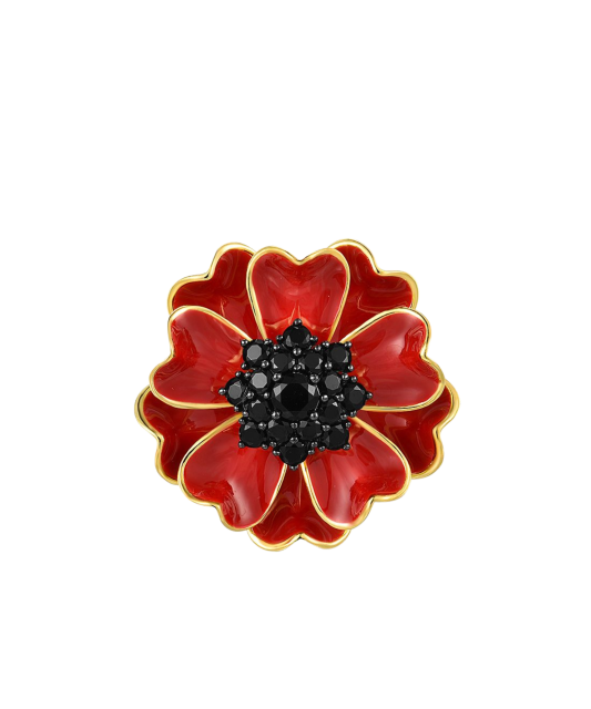 Paauksuotas Sidabrinis pakabukas su špineliais ir emale