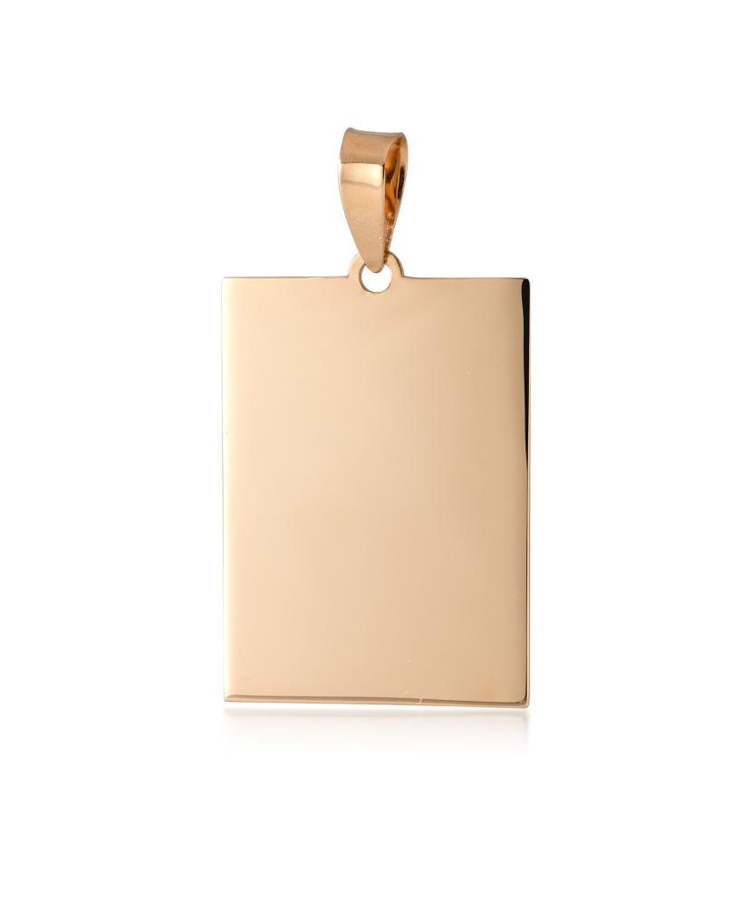 Auksinis pakabukas "Plokštelė"