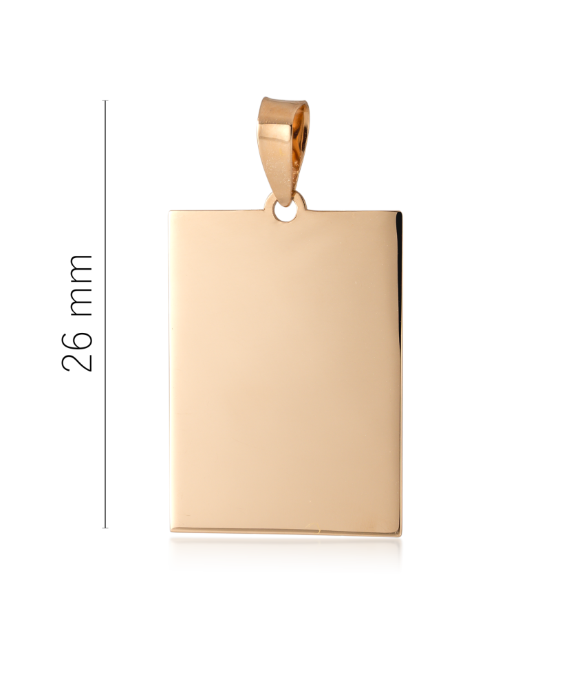 Auksinis pakabukas "Plokštelė"