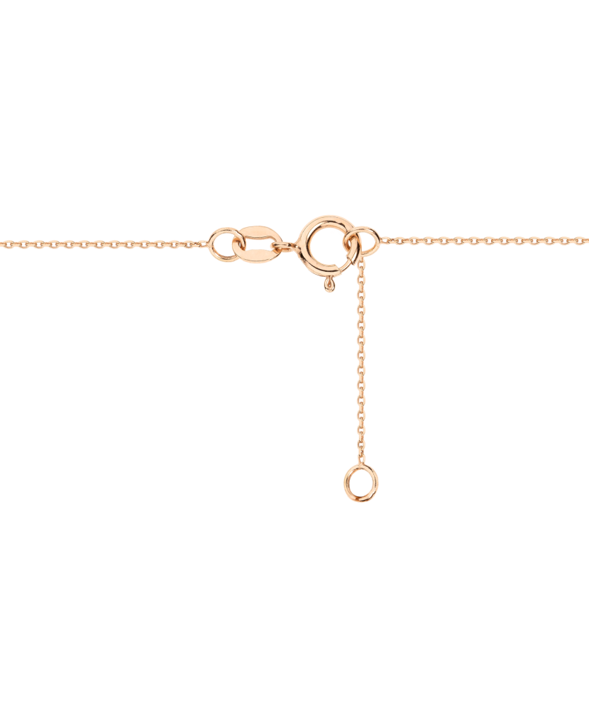 Auksinė grandinėlė su pakabuku