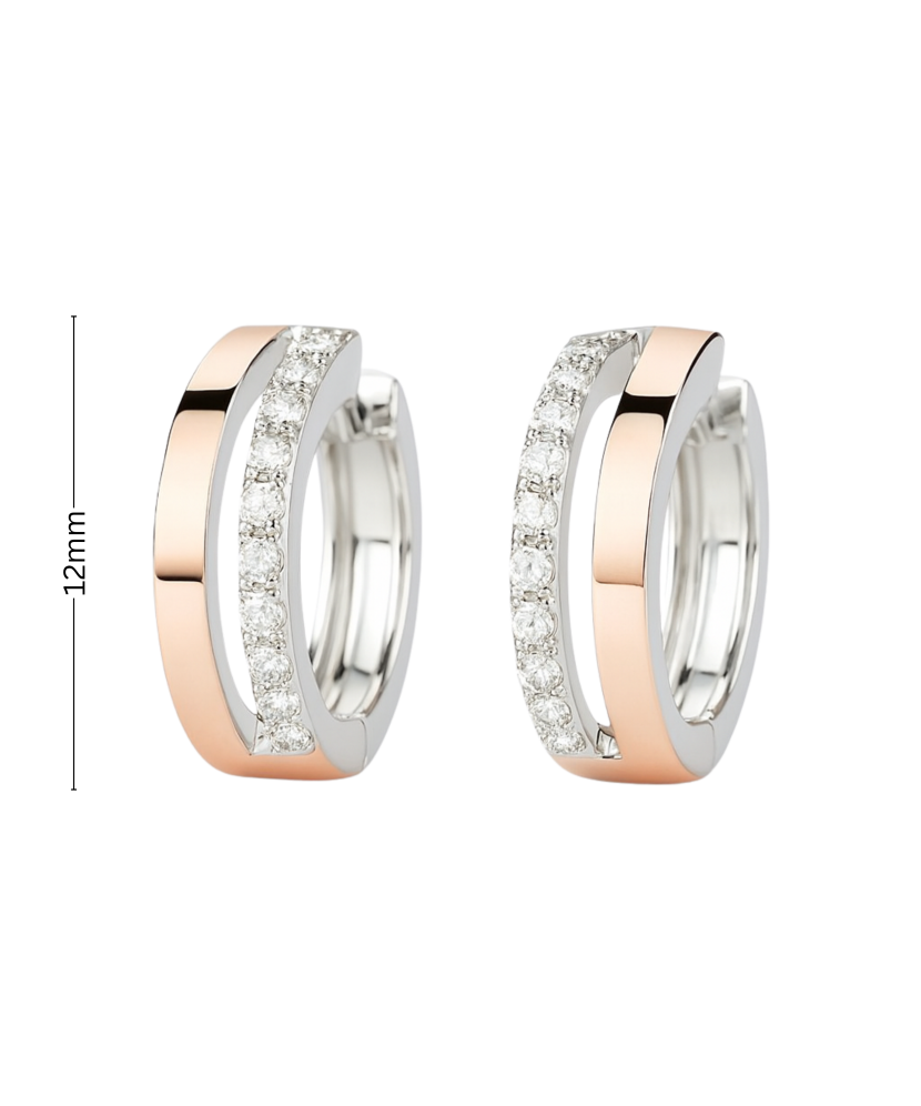 Sidabriniai auskarai dengti auksu su cirkoniais