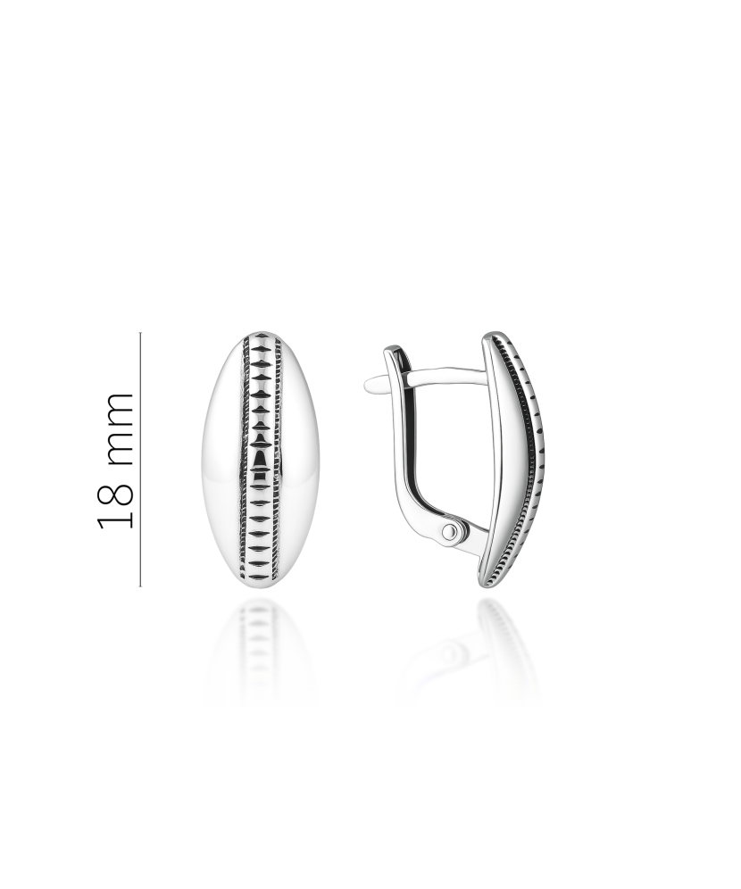 Sidabriniai auskarai