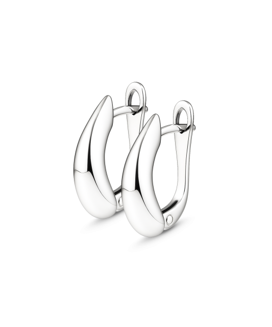 Sidabriniai auskarai