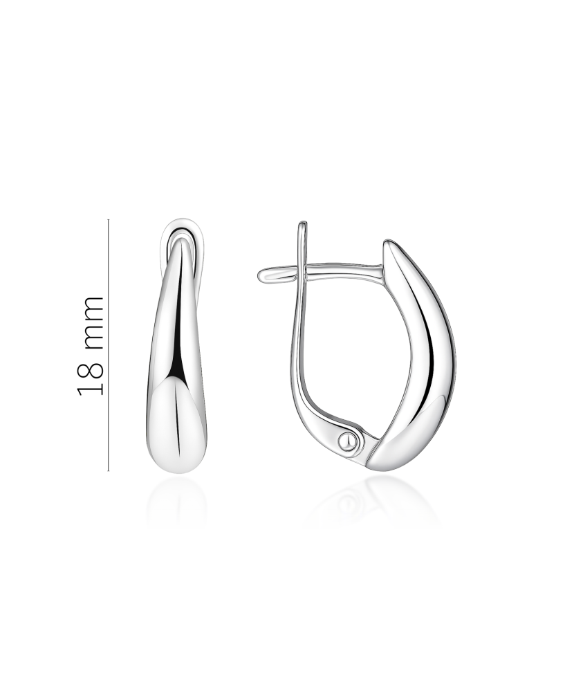 Sidabriniai auskarai