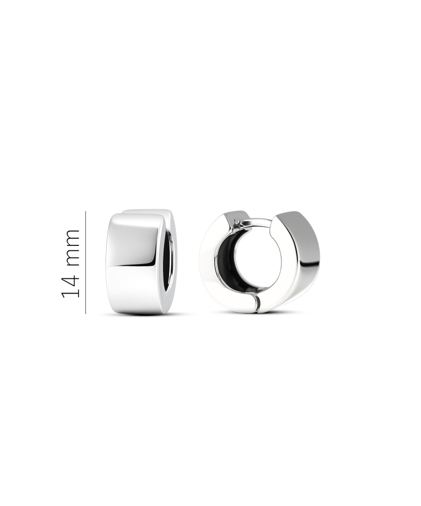 Sidabriniai auskarai