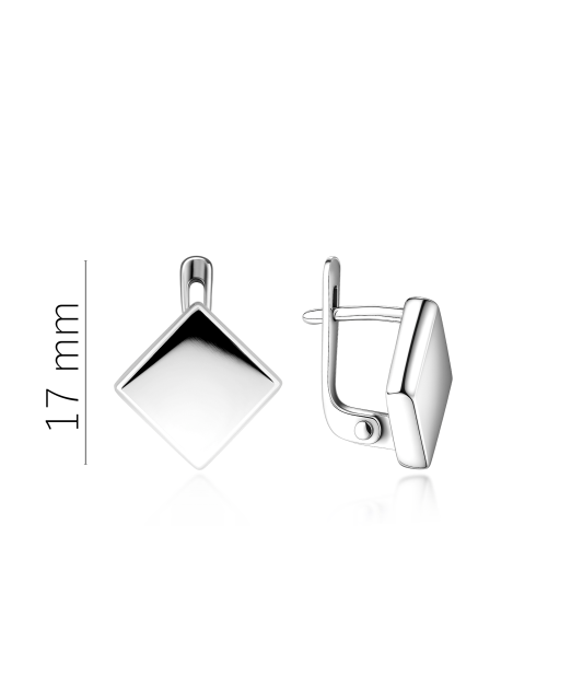 Sidabriniai auskarai