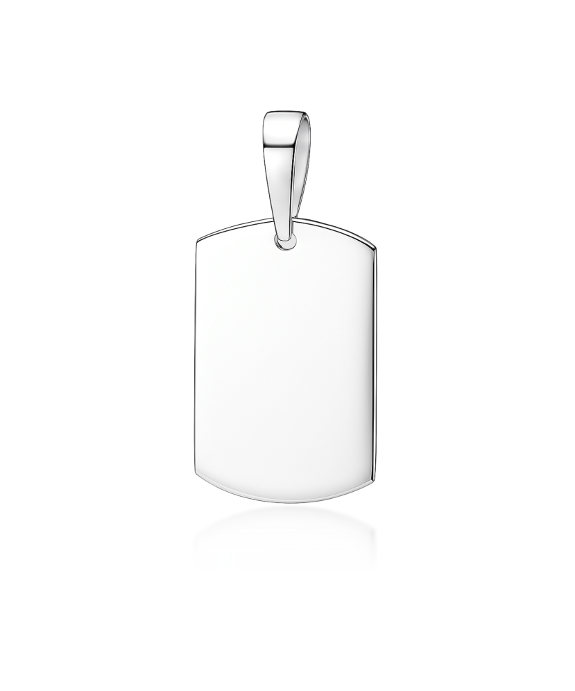 Sidabrinis pakabukas "Plokštelė"