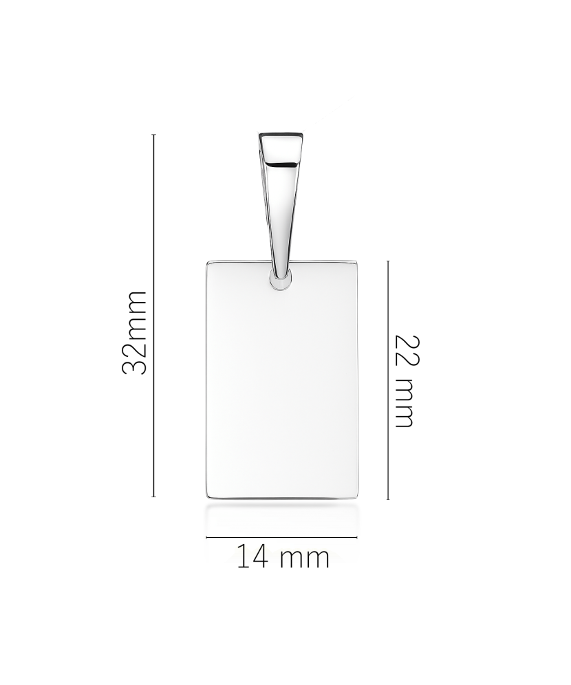 Sidabrinis pakabukas "Plokštelė"