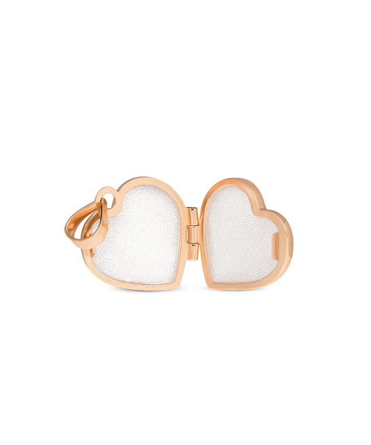 Auksinis pakabukas "Medalionas"