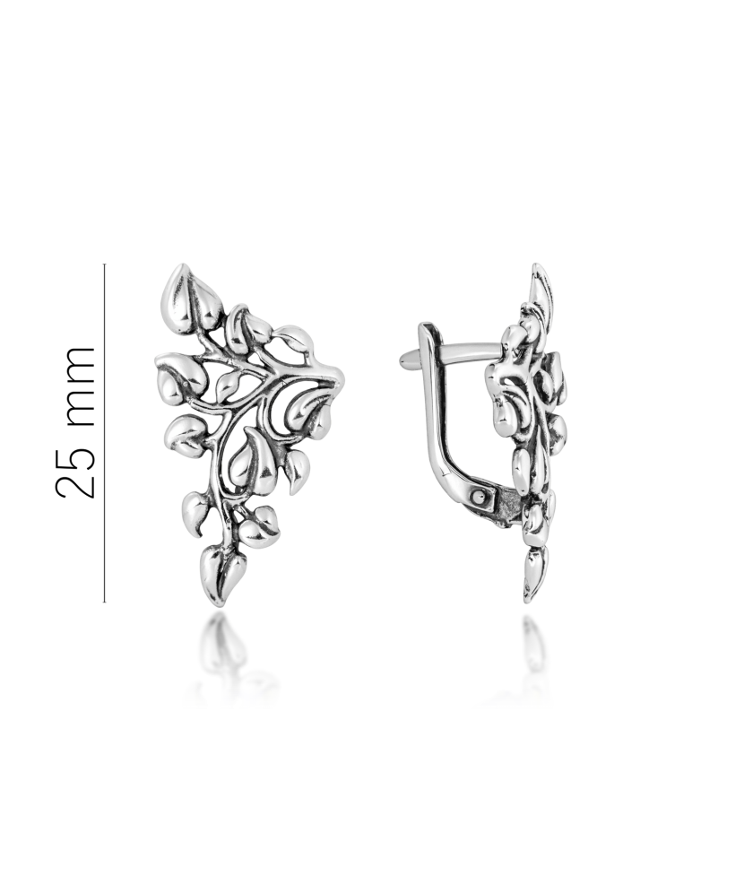 Sidabriniai auskarai