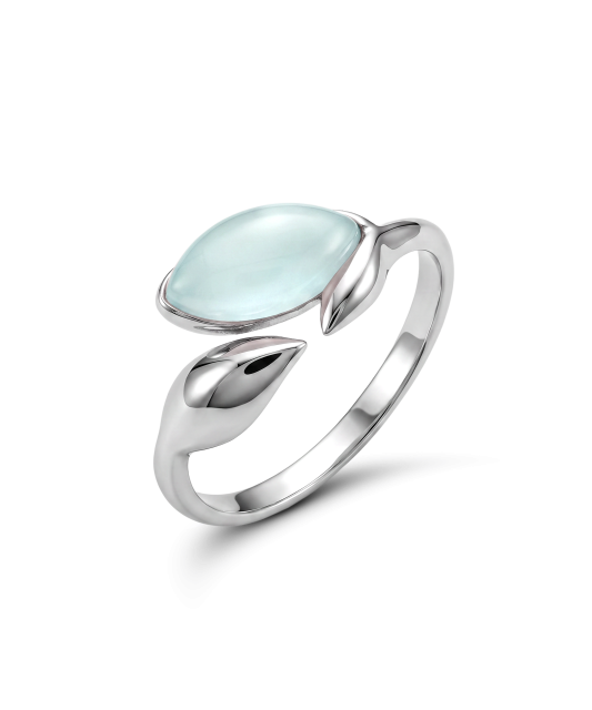 Sidabrinis žiedas su agatu