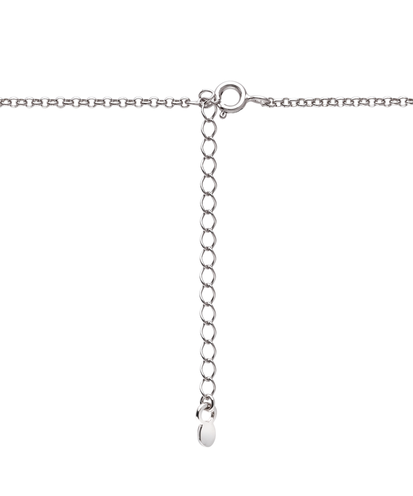 Sidabrinė grandinėlė su gintaro ir perlamutro pakabuku