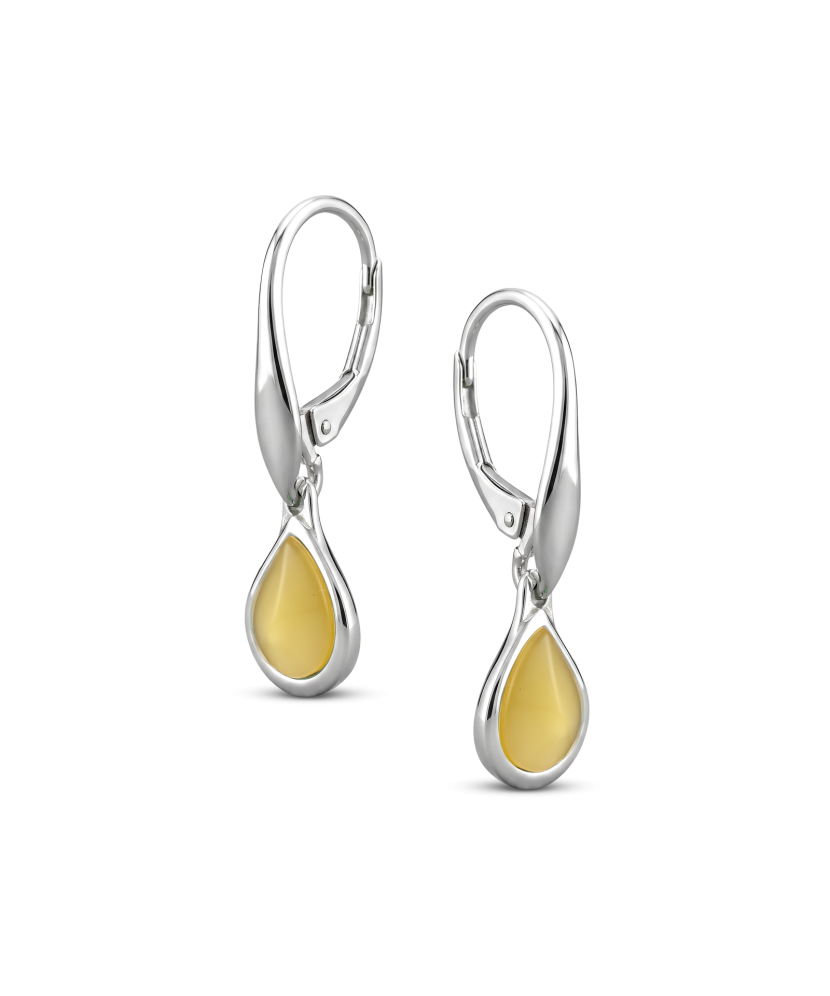 Sidabriniai auskarai su gintaru