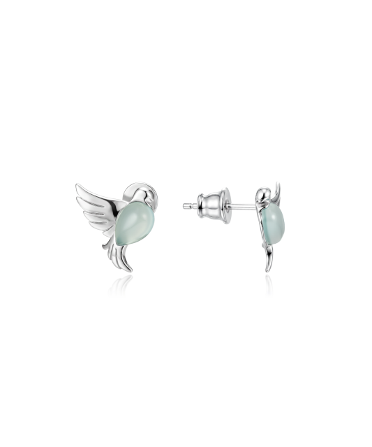 Sidabriniai auskarai su agatu