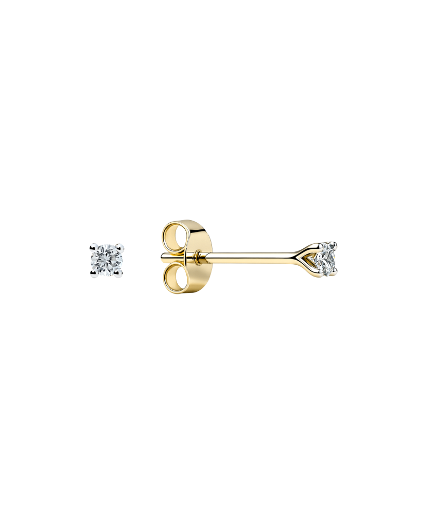 Geltonos aukso auskarai su deimantais 0,05ct