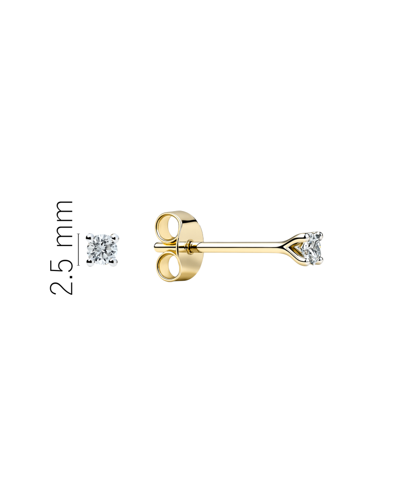 Geltonos aukso auskarai su deimantais 0,11ct
