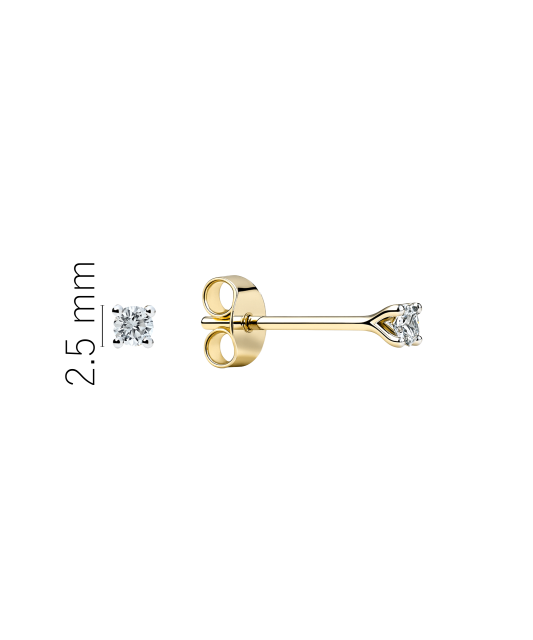 Geltonos aukso auskarai su deimantais 0,11ct