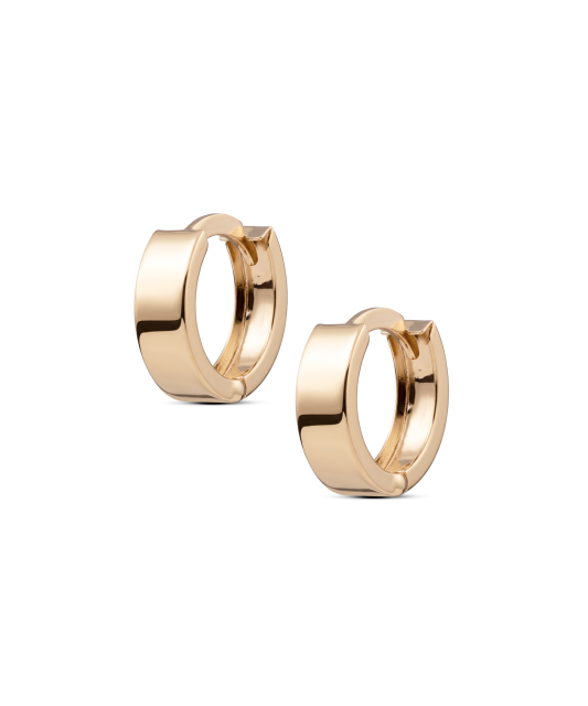Auksiniai auskarai