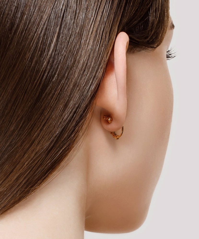 Auksiniai auskarai su cirkoniais - Auksiniai auskarai - Goldinga